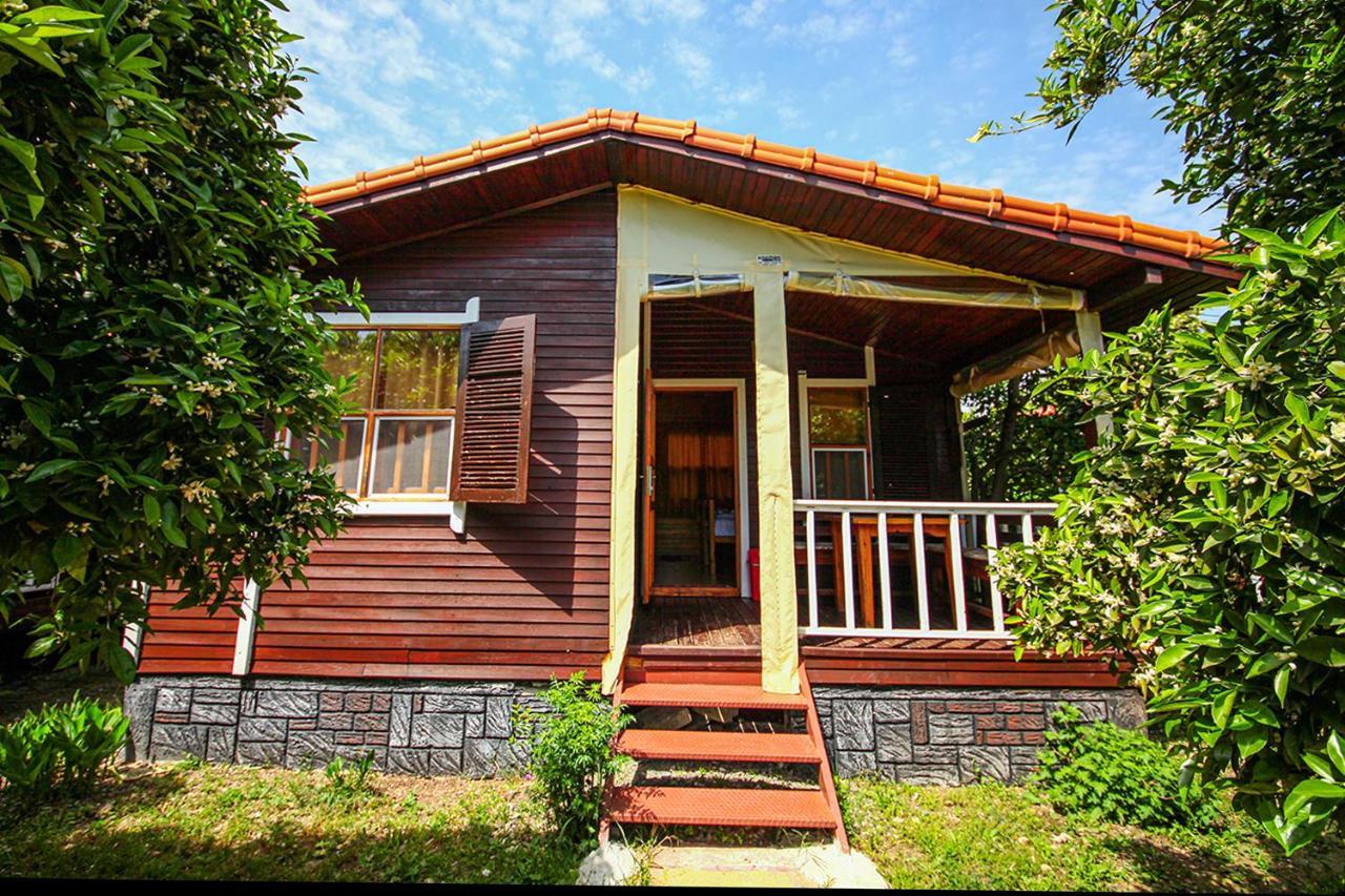 Three Islands Bungalow Cirali Exterior foto